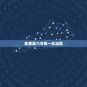 免费算八字看一生运程，免费生辰八字测命运