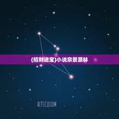 (招财进宝)小说宗景灏林，女主叫林辛言男主叫宗景灏的是什么书？