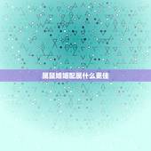 属鼠婚姻配属什么更佳，鼠肖婚配更佳属相是哪个