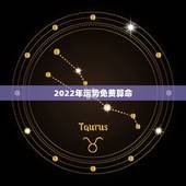 2022年运势免费算命，免费算2022 年个人运程