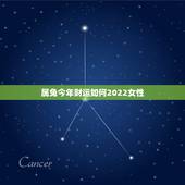 属兔今年财运如何2022女性，68年猴男2022 运程