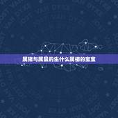 属猪与属鼠的生什么属相的宝宝，属鼠的妈妈和属猪的爸爸生个什么属相的宝宝