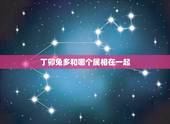 丁卯兔多和哪个属相在一起，属兔与什么属相三合
