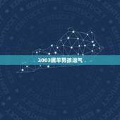 2003属羊男孩运气，2003年属羊 阳历8，14农历的7.17中午1