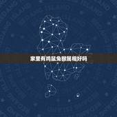 家里有鸡鼠兔猴属相好吗，生肖相冲会有什么不好、例如：对家庭。对双方有什
