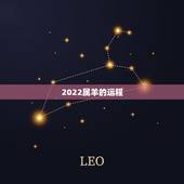 2022属羊的运程，1979年羊2022 年运程