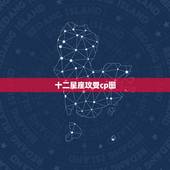 十二星座攻受cp图，十二星座女的攻受排名？