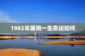 1982年属狗一生命运如何，1982属狗农历7月出生的命运