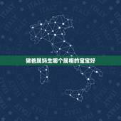 猪爸属妈生哪个属相的宝宝好，90年属马配什么属相好