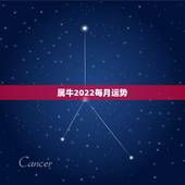 属牛2022每月运势，1973年属牛的2025年每月运程