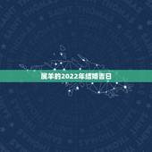属羊的2022年结婚吉日，2022年羊可以结婚吗