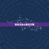 贵生文化心意五行拳，心意拳能达什么