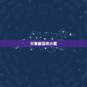 大老板喜欢小蜜，老板喜欢什么样的秘书？