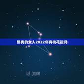 属狗的女人2022年有桃花运吗，2022年属狗女全年运势