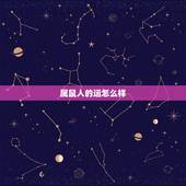 属鼠人的运怎么样，属鼠今年桃花运