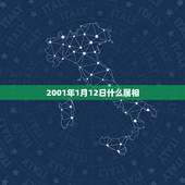 2001年1月12日什么属相，请问2001年01月12日是属什么的？爸