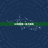 63年属兔一生大劫年，属兔人63年过七劫