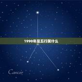 1990年是五行属什么，1990属马五行到底属什么？