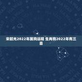 宋韶光2022年属狗运程 生肖狗2022年有三喜