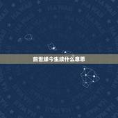 前世缘今生续什么意思，冥夫来袭&amp;#8221;前世缘，今世续，莫忘初心&amp;#8221;是什么意思