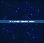 狗宝宝和什么属相的父母相克，孩子属相和父母相克