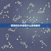 属狗的白羊座配什么属相最好，属狗的白羊和什么配