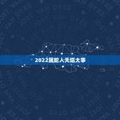 2022属蛇人天塌大事，1989属蛇男33岁后命运