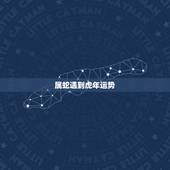 属蛇遇到虎年运势 属蛇交运遇虎年