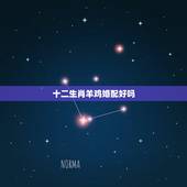 十二生肖羊鸡婚配好吗，属羊和属鸡相配吗？