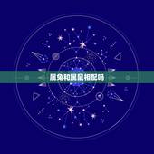 属兔和属鼠相配吗，属兔的和属鼠最配