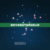 属虎今年的运气和财运怎么样，86属虎一生有几次婚姻