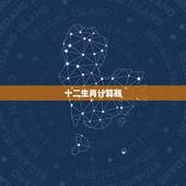 十二生肖计算器，生肖号码在线统计器