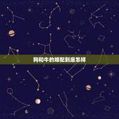 狗和牛的婚配到底怎样，男属狗女属牛能婚配吗