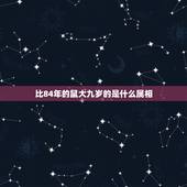 比84年的鼠大九岁的是什么属相，男的84年属鼠，女的93年属鸡，大9岁