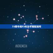73男牛和73年女牛婚配如何，猪和牛相配婚姻如何
