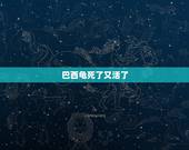 巴西龟死了又活了，巴西龟死了，状态是怎样？