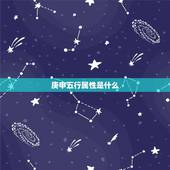 庚申五行属性是什么，戊午日五行属性是什么