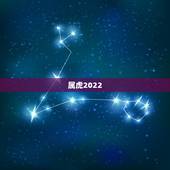 属虎2022 年佩戴什么，属虎的人2022 年戴什么好