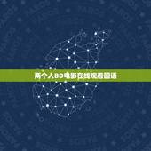 两个人BD电影在线观看国语，两个人高清完整版电影