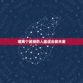 哪两个属相的人最适合做夫妻，夫妻哪两个属相最合，哪两个属相最不合