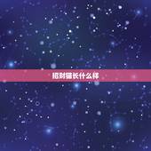 招财猫长什么样，什么是招财猫