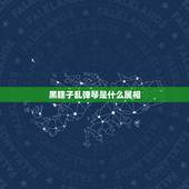 黑瞎子乱弹琴是什么属相，媚眼做给瞎子看不领情是什么生肖
