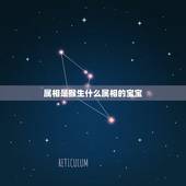 属相是猴生什么属相的宝宝，男属猴，女属鸡，要个什么属相的孩子比较好？