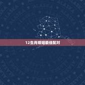 12生肖婚姻最佳配对，十二生肖男女最佳配对