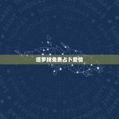塔罗牌免费占卜爱情，用怎样的塔罗牌阵占卜爱情？
