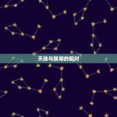 天珠与属相的配对，九眼天珠适合什么属相