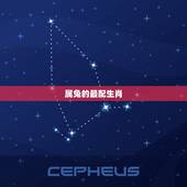 属兔的最配生肖，属兔生肖配对