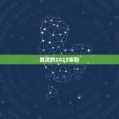 属虎的2022年龄，都说2022年不生虎宝