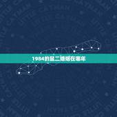 1984的鼠二婚姻在哪年，婚姻到什么程度该离婚