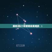 属蛇2021年婚姻会离婚吗，1977年属蛇男2021年的运势和婚姻